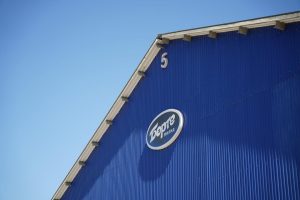 Read more about the article ТҮРКІСТАН ОБЛЫСЫНДА СҮТ ӨНДІРІСІН ЖАҢА ДЕҢГЕЙГЕ КӨТЕРГЕН «БӨРТЕ МИЛКА» ЖОБАСЫ ТОЛЫҚ ІСКЕ ҚОСЫЛДЫ