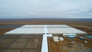 Подробнее о статье ТҮРКІСТАН: КЕЛЕС АУДАНЫНДА ЕЛІМІЗДЕГІ ЕҢ ІРІ ӨНЕРКӘСІПТІК ЖЫЛЫЖАЙ КЕШЕНІ АШЫЛАДЫ